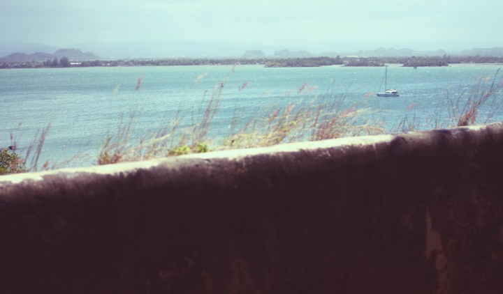 The Strays of Puerto Rico – Travel&nbsp;Photography