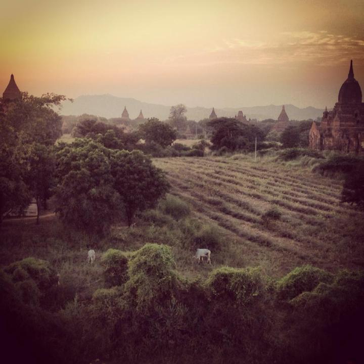 1517649_806151909411792_1154215550_n