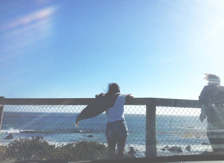 big sur, travel, california, photography, photographer, los angeles, shannon m west photography