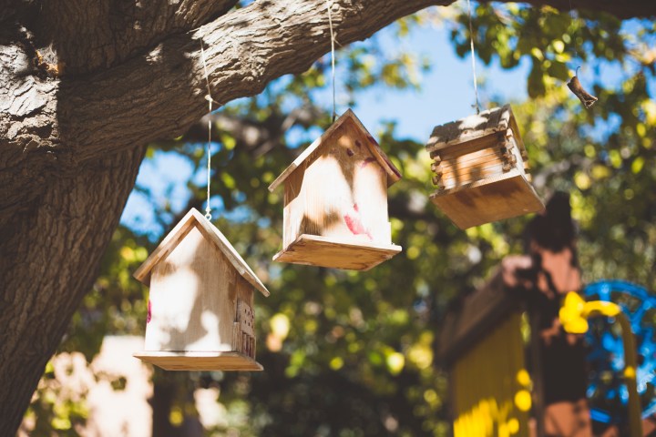 Halloween Birthday Party Santa Monica - Los Angeles - Shannon M West Photography - Kids birthday party photographer 