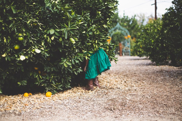 Fall is Here – A Family Portrait Session in Arlington Gardens&nbsp;Pasadena
