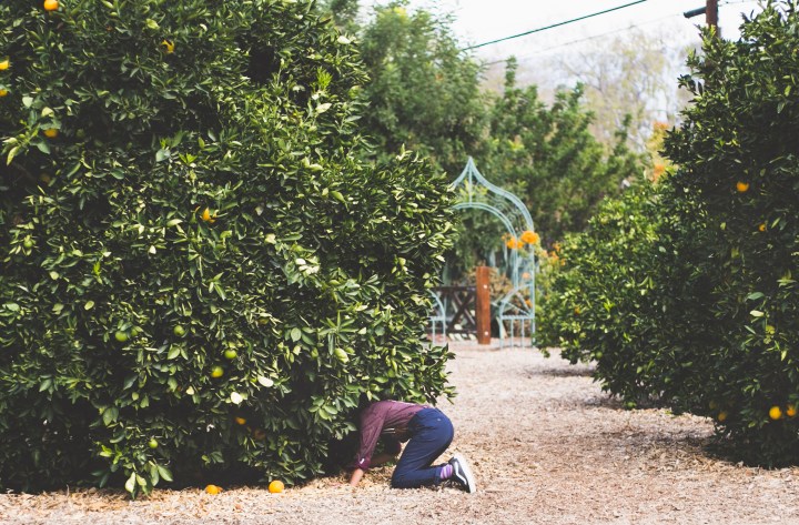 Fall Family Portrait Session in Pasadena, California - Holiday - Kids - Children - Portraits - Shannon M West Photography, Los Angeles