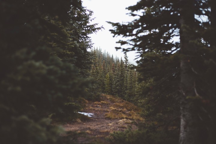 Continental Divide - Winter Park, Colorado - Travel, hiking, nature, adventure photography Shannon M West Photography Los Angeles