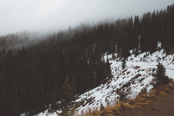 Continental Divide - Winter Park, Colorado - Travel, hiking, nature, adventure photography Shannon M West Photography Los Angeles