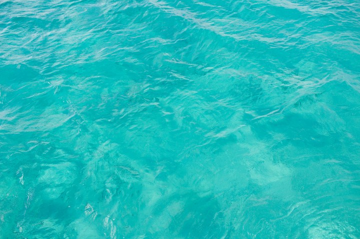 Oh hi there&nbsp;Caribbean