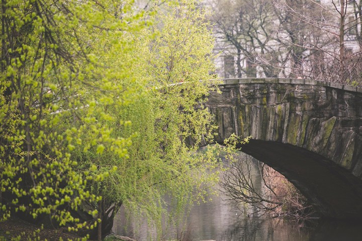 proposal photography new york brooklyn manhattan central park nyc photographer shannon m west photo couple engagement portrait surprise propose documentary candid