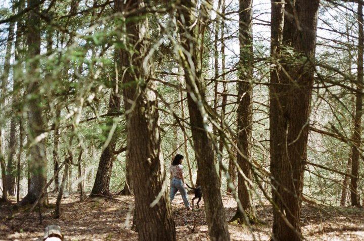 film, upstate, new york, NY, 35mm, los angeles, portrait, documentary, canon ae1, woods, outdoors, nature, photography, cabin, forest, grain, experiments, love film,