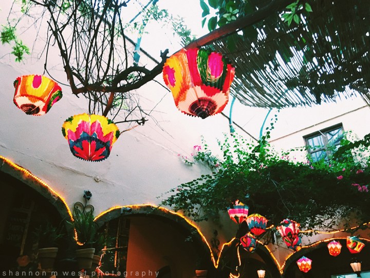 Processed with VSCO with c1 preset