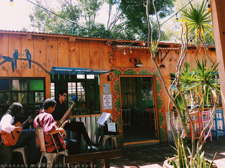 Processed with VSCO with c1 preset