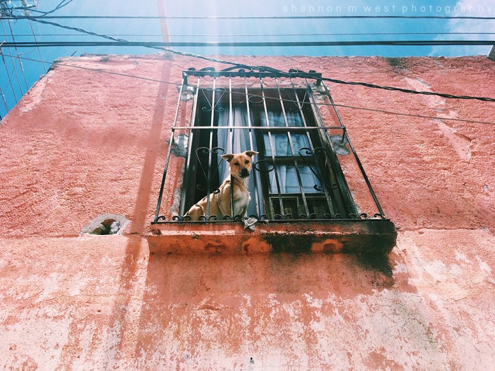 Processed with VSCO with c1 preset