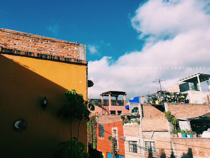 Processed with VSCO with c1 preset