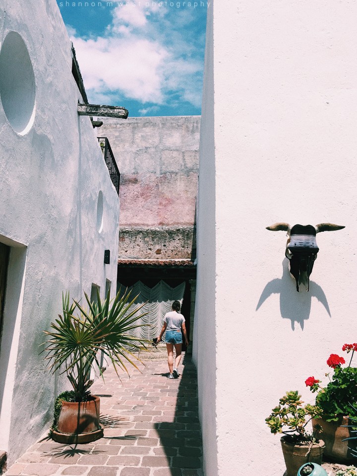 Processed with VSCO with c1 preset