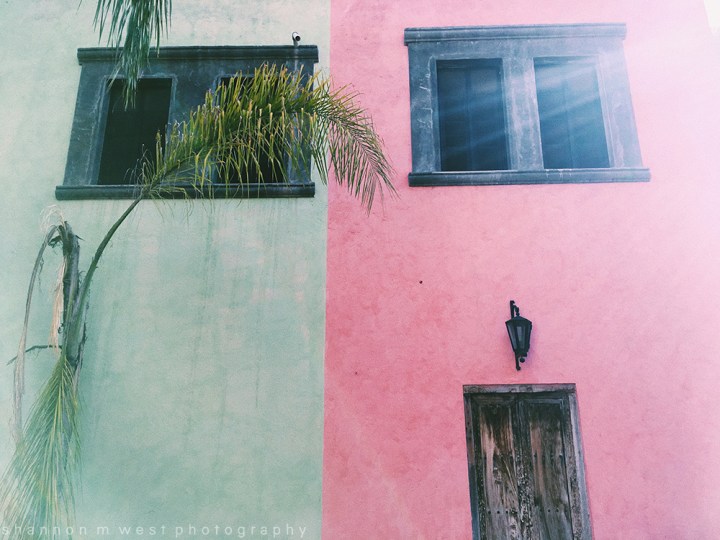 Processed with VSCO with c1 preset