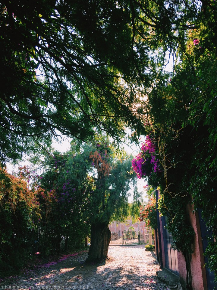 Processed with VSCO with c1 preset